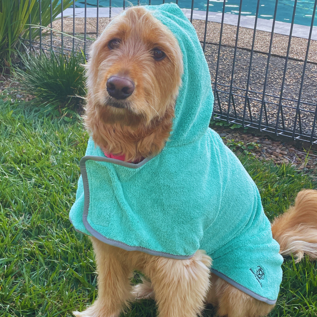 dog towel green