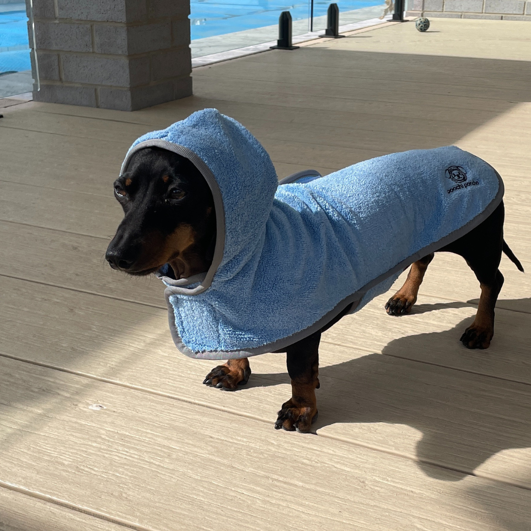 POOCHI PONCHO TOWEL BLUE
