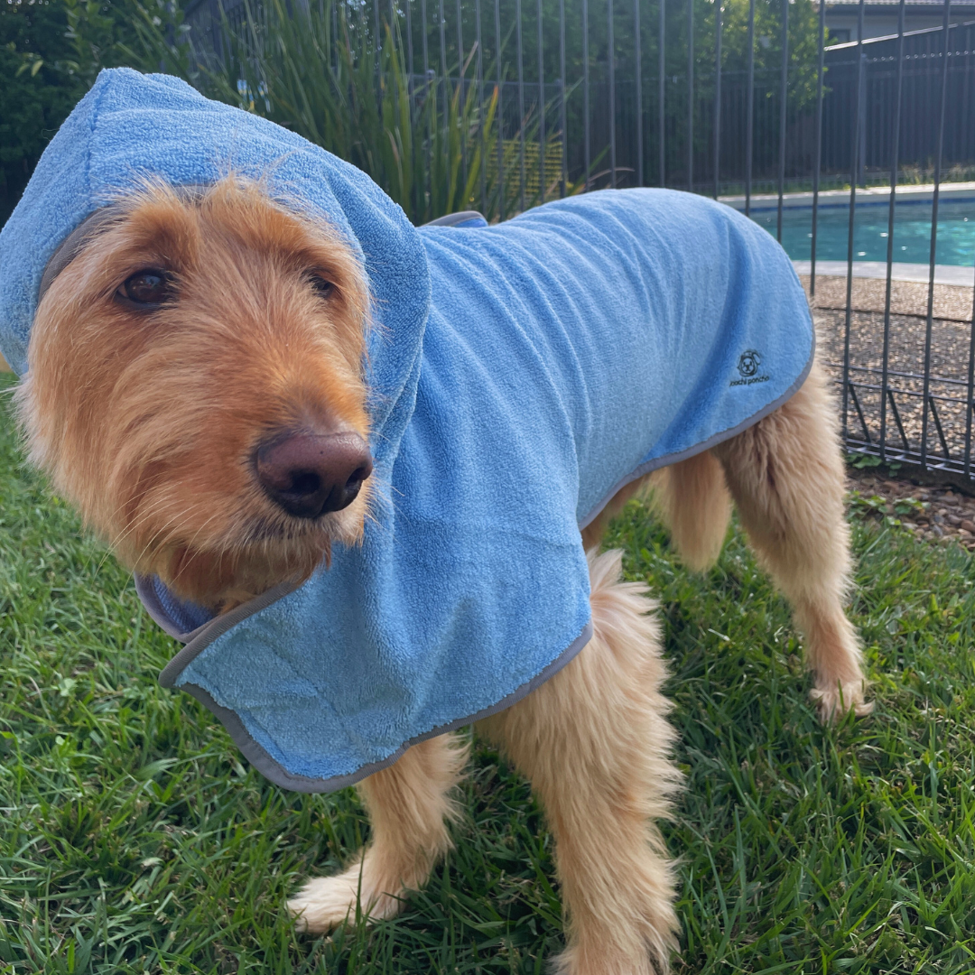 POOCHI PONCHO TOWEL BLUE
